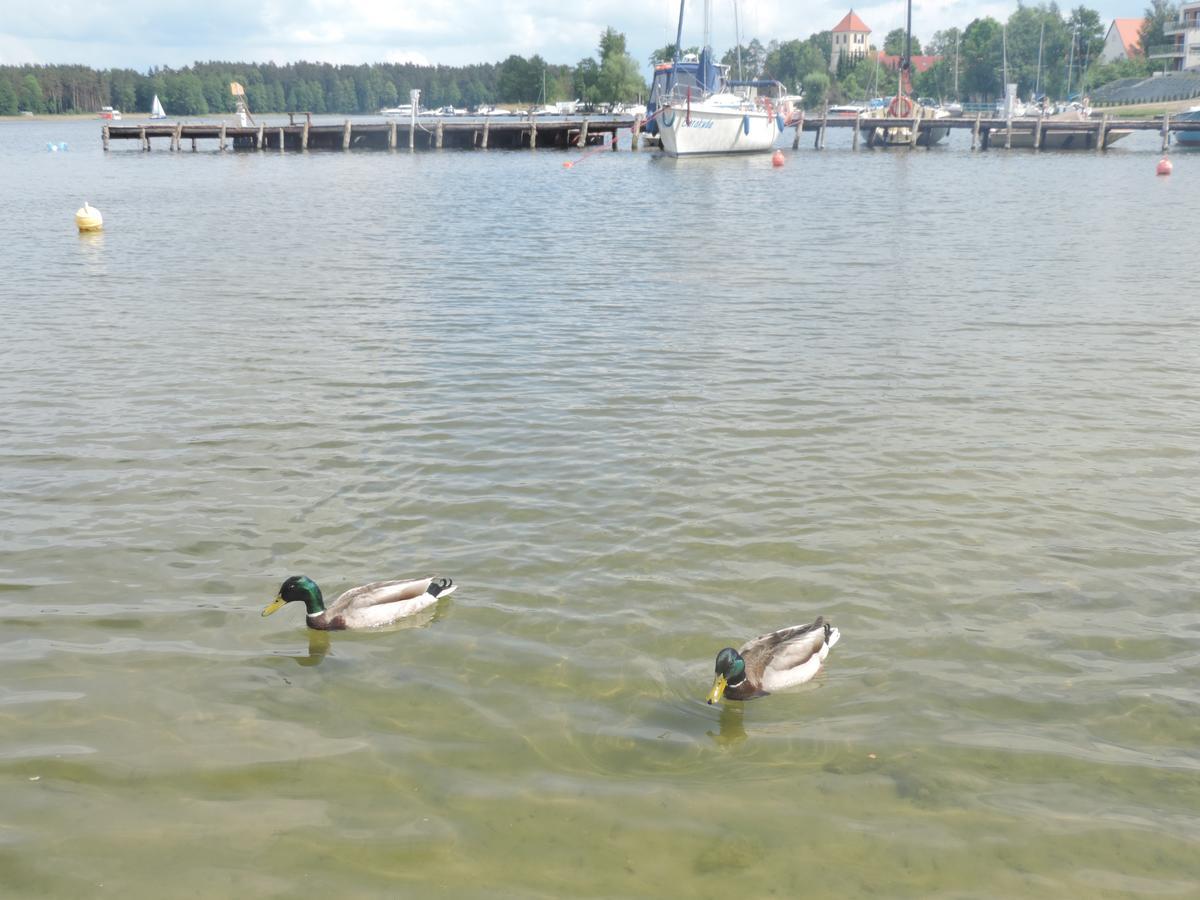 Mazurskie Wzgorze Rydzewo Exteriör bild